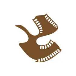 SRFTI